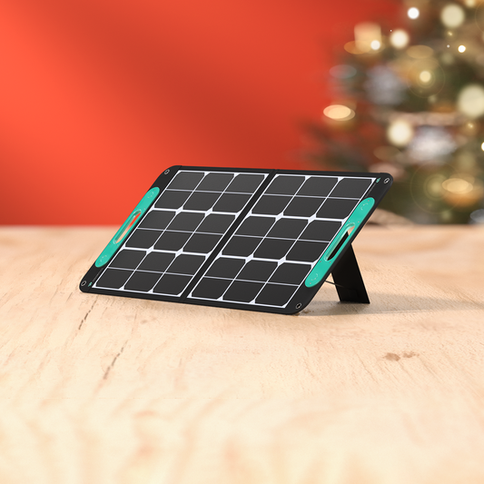 VigorPool 100W SunPower Portable Solar Panel for Christmas Sale